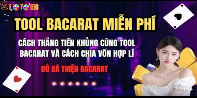 Tool Baccarat rất dễ sử dụng và thân thiện với người dùng