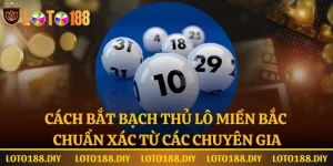 Cách bắt bạch thủ lô miền bắc tại Loto188