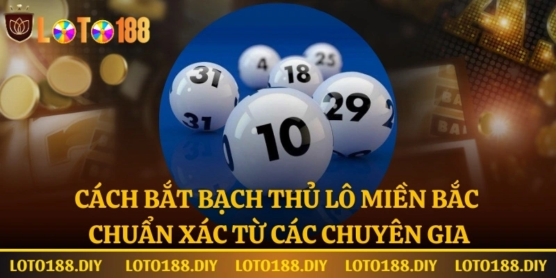 Cách bắt bạch thủ lô miền bắc tại Loto188